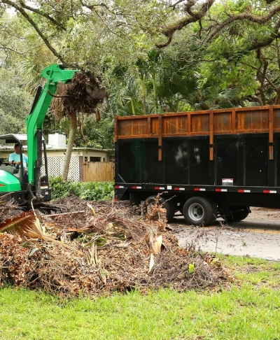 A1 Outdoor Services Debris Removal Service