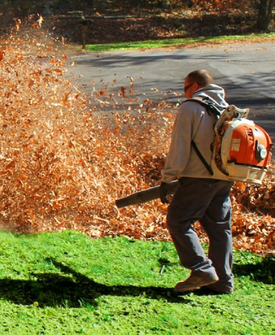 A1 Outdoor Services Leaf Removal Service