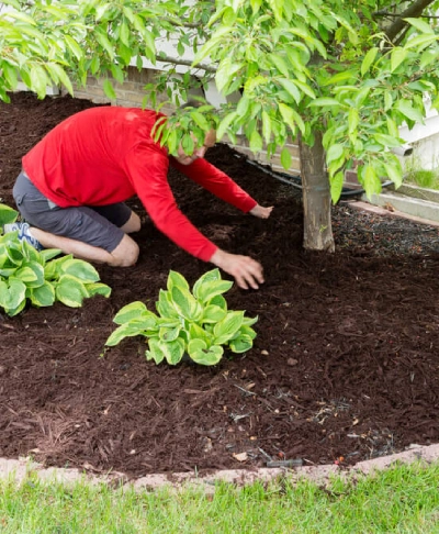 A1 Outdoor Services Mulching Services Service